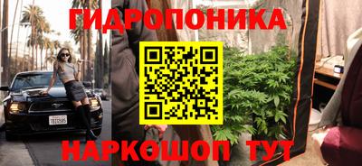 соль ск Заводоуковск
